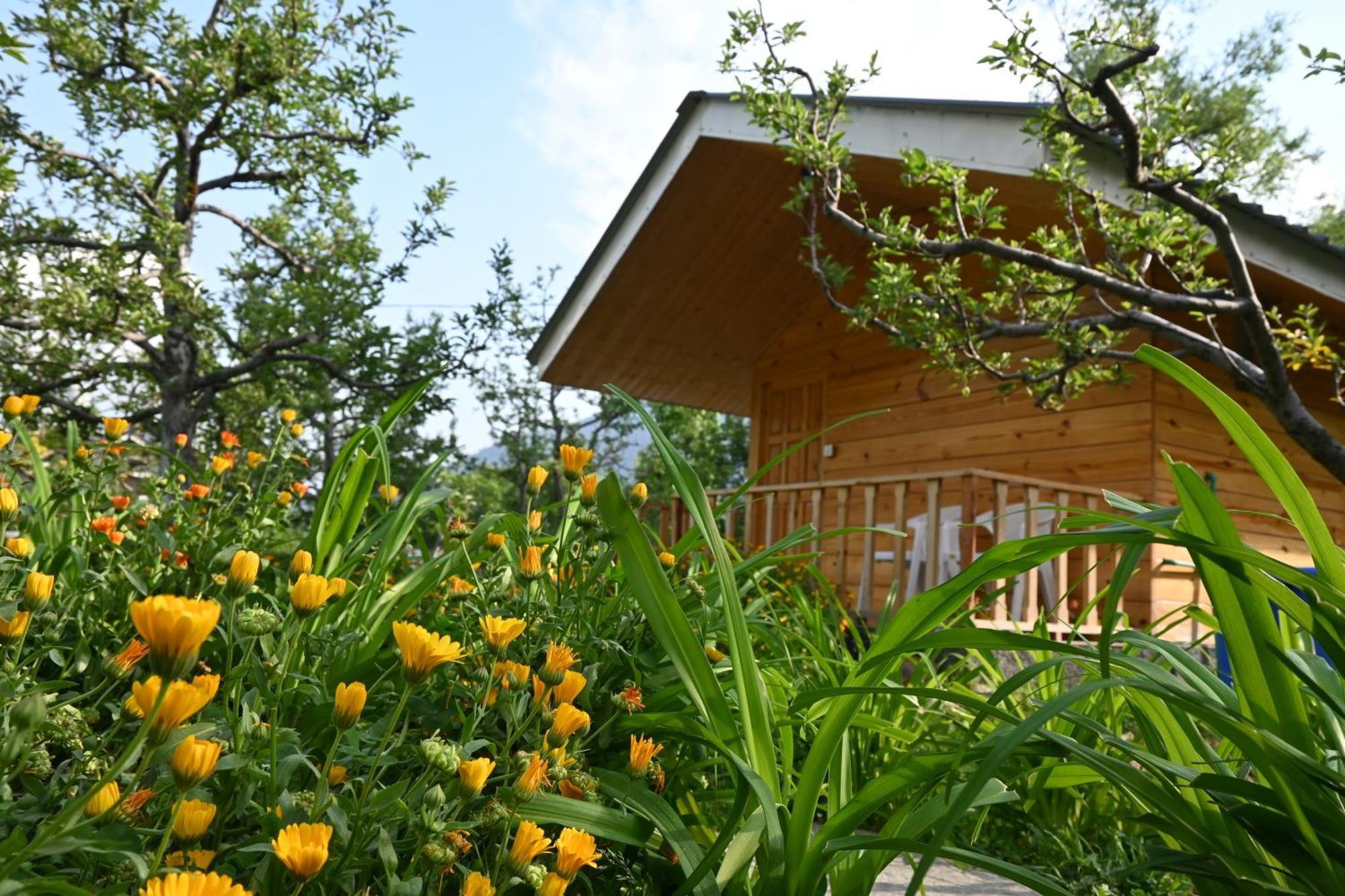 Cascade Mountain Retreat Manali Bed & Breakfast エクステリア 写真