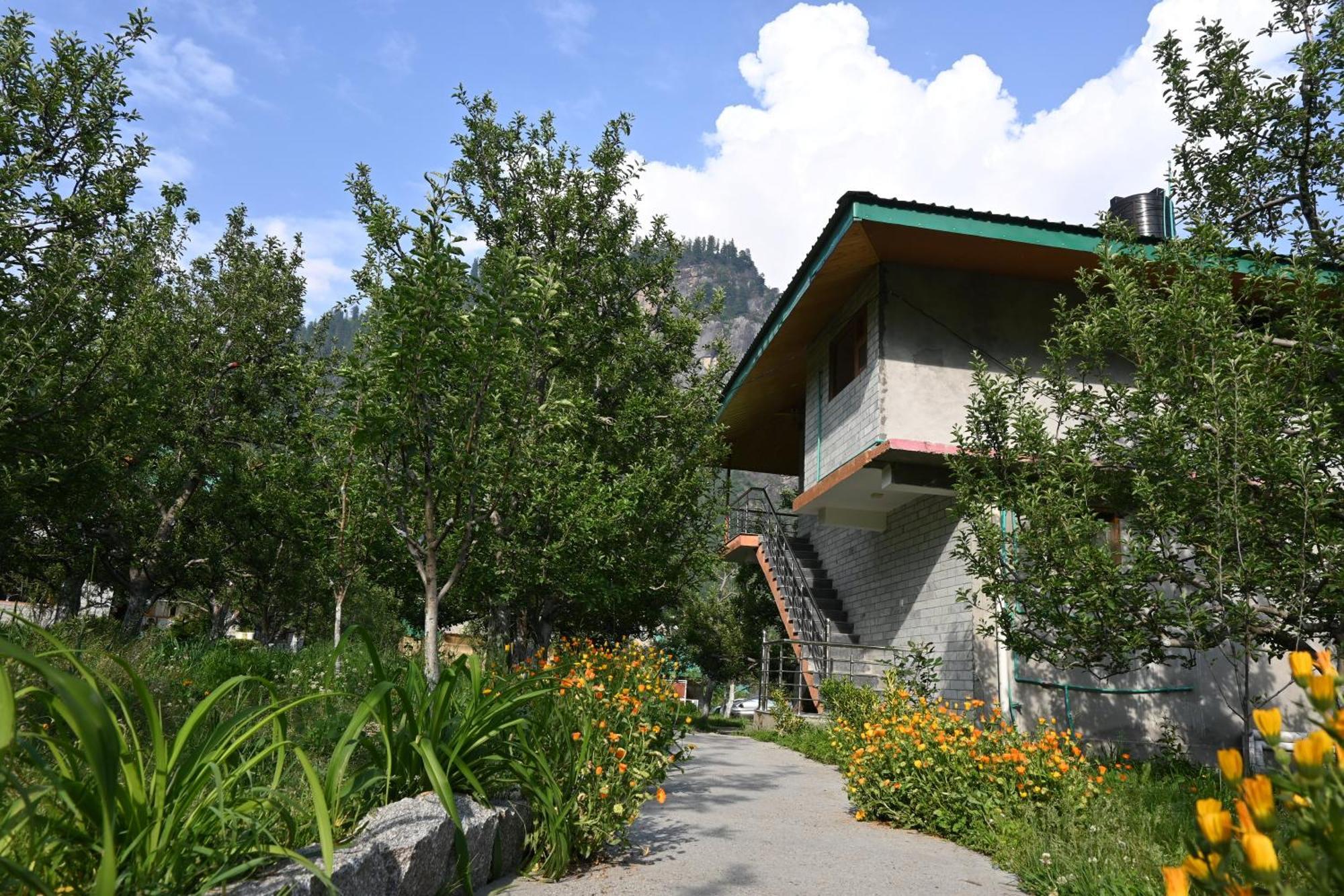 Cascade Mountain Retreat Manali Bed & Breakfast エクステリア 写真