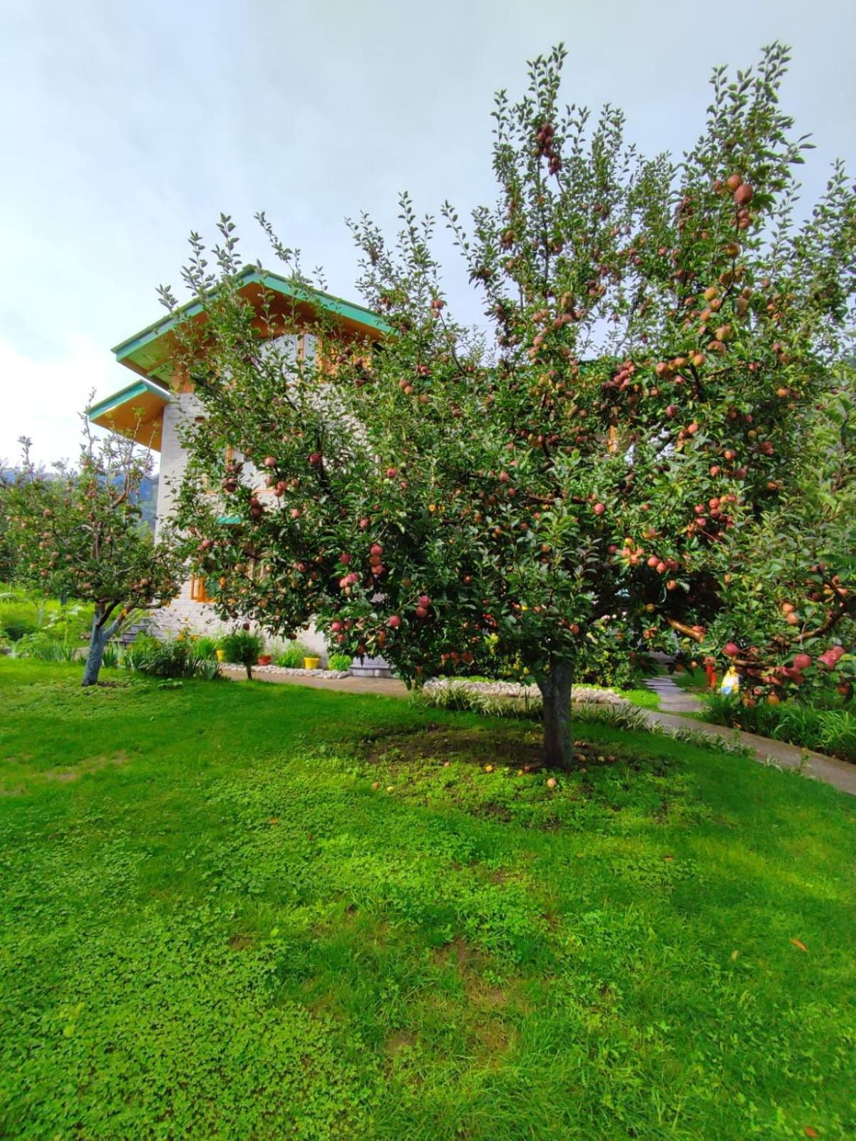 Cascade Mountain Retreat Manali Bed & Breakfast エクステリア 写真