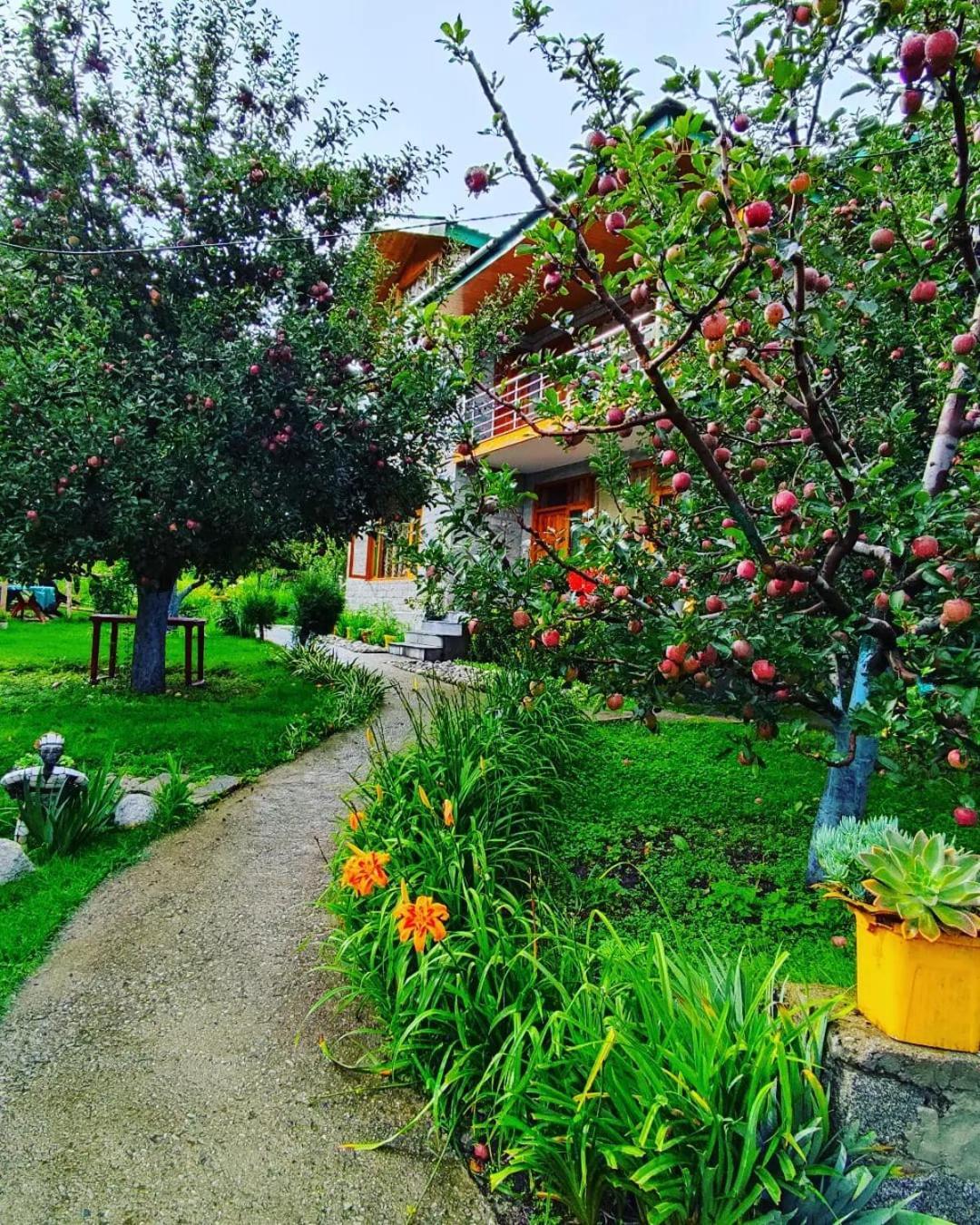 Cascade Mountain Retreat Manali Bed & Breakfast エクステリア 写真